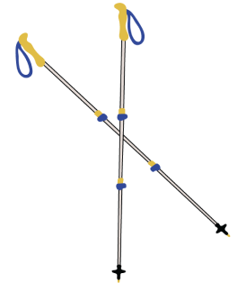 Trekking poles.