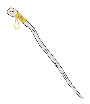 Walking stick.